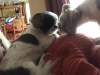20160428_112156